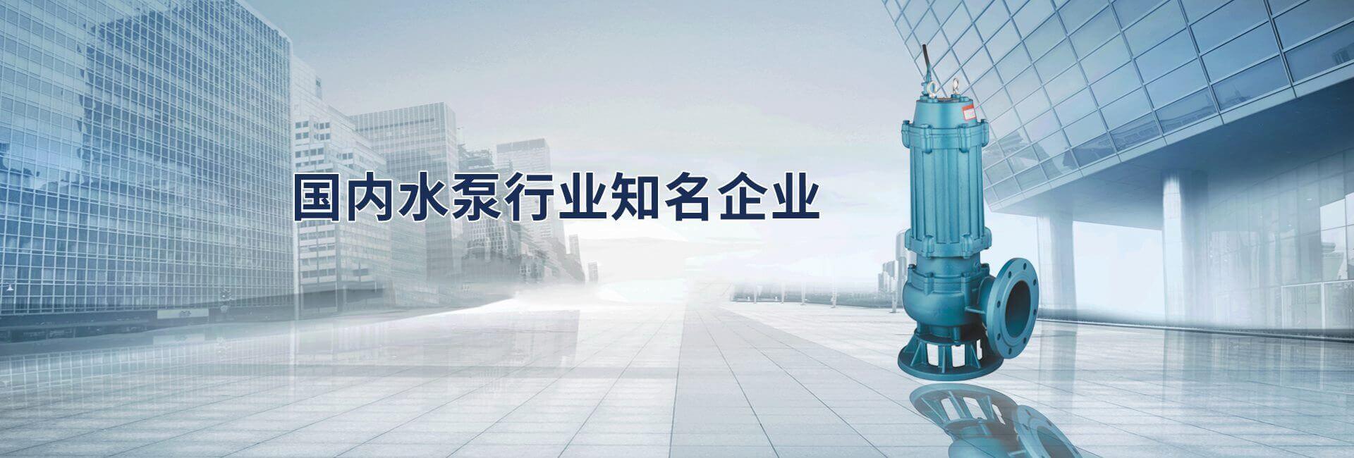 水泵行業知名品牌